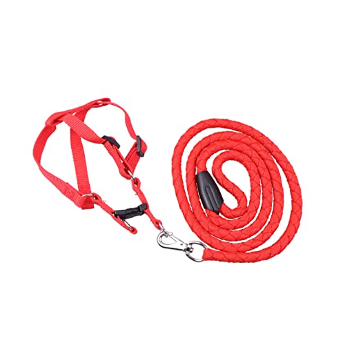 BESTonZON Verstellbare Hundeleine mit Strapazierfähigem Nylon Leuchtendem Rot Komfortablem Brustgeschirr XXL Geeignet für Outdoor und Sicheres Hundetraining BESTonZON Verstellbare Hundeleine mit Strapazierfähigem Nylon Leuchtendem Rot Komfortablem Brustgeschirr XXL Geeignet für Outdoor und Sicheres Hundetraining von BESTonZON