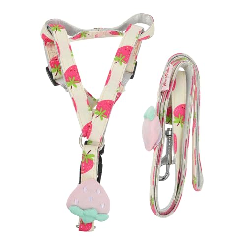 BESTonZON Verstellbares Haustier Schleppseil mit Frischem Früchte Design für Kleine und Mittelgroße und Tragbar für und Ausflüge BESTonZON Verstellbares Haustier Schleppseil mit Frischem Früchte Design für Kleine und Mittelgroße und Tragbar für und Ausflüge von BESTonZON