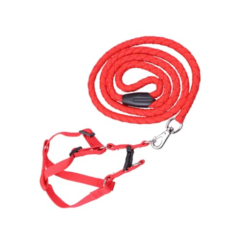 BESTonZON Verstellbares Hundegeschirr mit Leuchtendem Zuggurt Komfortabler Gurt Rotes XXL Leichtes Atmungsaktives Haustiergeschirr für Sicheren Outdoor Spaziergang von BESTonZON