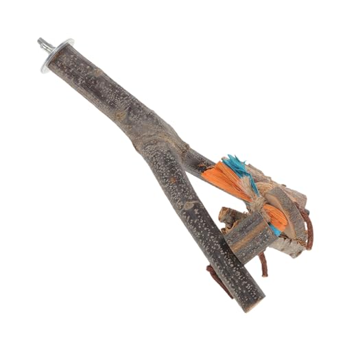 BESTonZON Holz Vogelstange Für Papageien Naturholz Vogelstange Als Sitzstange Und Spielzeug Für Vogelkäfig Geeignet Für Kleine Vögel Sittiche Und Nymphensittiche von BESTonZON
