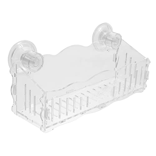 Kreativer Pflanzbecher für Aquarien Wandhalterung mit Saugnapf Praktischer Aufbewahrungsbecher für Wasserpflanzen für Gesundes und Aquarien Dekoration Kreativer Pflanzbecher für Aquarien Wandhalterung mit Saugnapf Praktischer Aufbewahrungsbecher für Wasserpflanzen für Gesundes und Aquarien Dekoration von BESTonZON