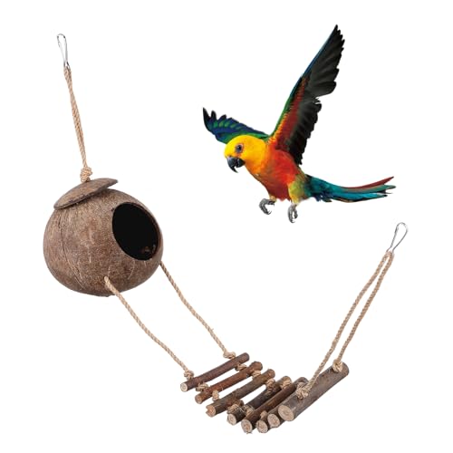 Kreatives Reptilienversteck aus Kokosnuss mit Terrarium Dekoration für Eidechsen Sicheres und Natürliches Unterschlupf Accessoire für Gecko von BESTonZON