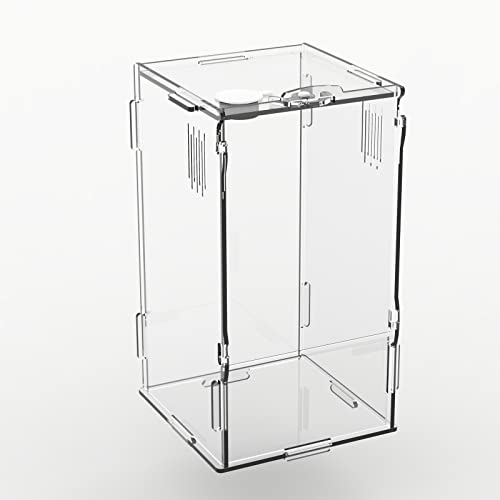 BETAZOOER Mini-Terrarien für Reptilien, Acryl, transparent, mit Verriegelung, geeignet für Tarantel, Spinne, Isopod, Eidechsen, Rotkaugen, Wirbellose (10,2 x 10,2 x 20,3 cm) von BETAZOOER