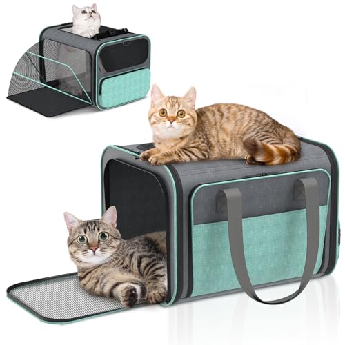 Betopet Hundetragetasche für Fluggesellschaften zugelassen: weiche Katzentragetasche, erweiterbar für kleine Hunde bis zu 6,8 kg – 41,8 x 33 x 30,8 cm, Haustier-Reisetasche für TSA-genehmigt Betopet Hundetragetasche für Fluggesellschaften zugelassen: weiche Katzentragetasche, erweiterbar für kleine Hunde bis zu 6,8 kg – 41,8 x 33 x 30,8 cm, Haustier-Reisetasche für TSA-genehmigt von BETOPET