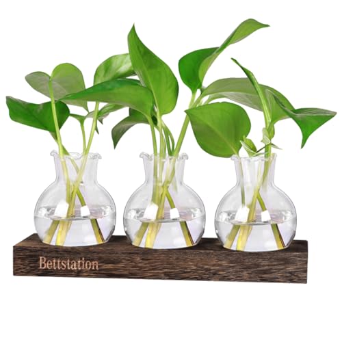 Bettstation Desktop Plant Propagation Station Retro Plant Terrarium with Wooden Stand 3 Bulb Container Perfect for Propagating Hydroponic Plants Home Office Decor von BETTSTATION