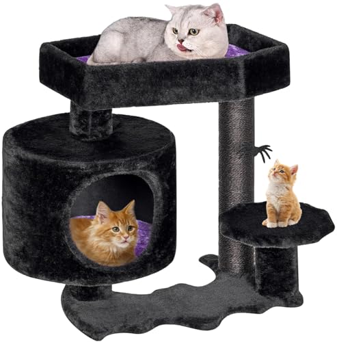 BEWISHOME Gothic Katzenbaum mit Sarg Bett Goth Katzenturm Sarg Katzenbaum Katzenhaus mit Katzenkratzbaum, Spinne Hängende Kugel Schwarz Lila Halloween Kätzchen Haustier Möbel MMJ93Z BEWISHOME Gothic Katzenbaum mit Sarg Bett Goth Katzenturm Sarg Katzenbaum Katzenhaus mit Katzenkratzbaum, Spinne Hängende Kugel Schwarz Lila Halloween Kätzchen Haustier Möbel MMJ93Z von BEWISHOME
