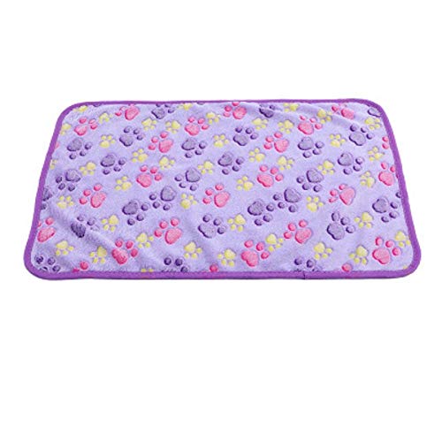 BFNDSSEOU Hunde Matratze Hunde Training Matratze Pet Blanket Multicolor 54 x 78 cm Pack of 2(Purple) von BFNDSSEOU