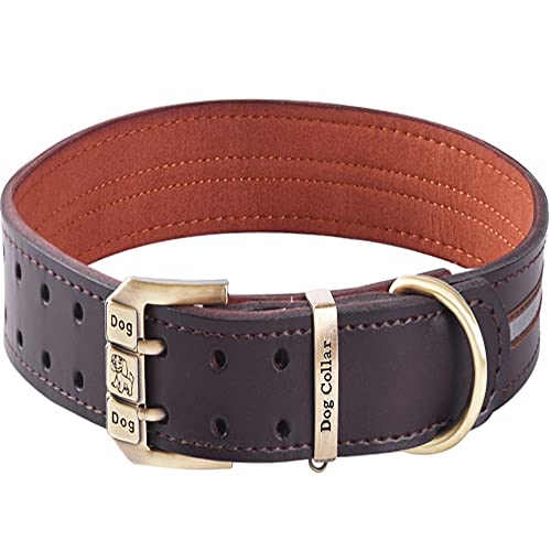 Reflektierendes Echtleder Hundehalsband verstellbar weich Gepolstert für Kleine, Mittelgroße und Extra Große Hundehalsbänder (Braun XL (Hals 50cm-64cm)) von BFRLBFQ