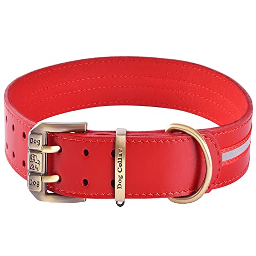 Reflektierendes Echtleder Hundehalsband verstellbar weich Gepolstert für Kleine, Mittelgroße und Extra Große Hundehalsbänder (Rot XL (Hals 49cm-65cm)) von BFRLBFQ