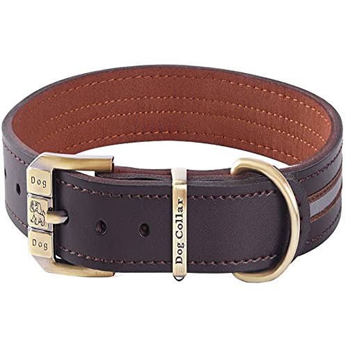 Reflektierendes Echtleder Hundehalsband verstellbar weich gepolstert für kleine, Mittelgroße und Extra Große Hundehalsbänder (Braun L(Hals 46cm-56cm)) von BFRLBFQ