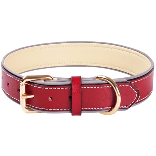 Reflektierendes Echtleder Hundehalsband verstellbar weich gepolstert für kleine, Mittelgroße und Extra Große Hundehalsbänder (Rot, M) von BFRLBFQ
