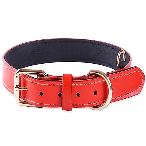 Verstellbare, gepolsterte, weiche Hundehalsbänder aus echtem Leder für Welpen Kleiner mittlerer großer Rassen Hundehalsband (Rot) (S) von BFRLBFQ