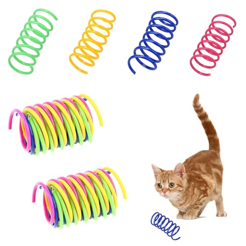 40 Stk Katzenspielzeug Spirale,Bunte Spirale Spielzeug Katzenspielzeug Set,Spiralen Katzen,Interaktives Haustier Spiral-Spielzeuge Katzen,Kunststoff-Spiralfedern,Cat Spring Toys,Beschäftigung Kätzchen von BFUZXY