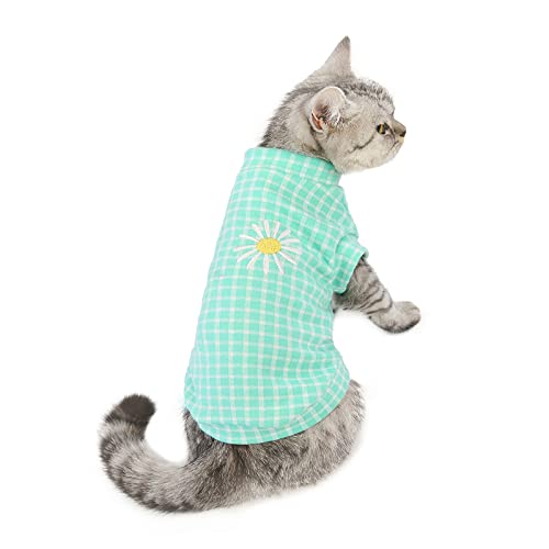 Cat Puppy Winter Warmer Mantel Katzenkleidung Herbst und Winter Milch Seidenpullover Haustier Blaue Katze Kätzchen Winter Warmer Baumwollpullover, 20 Katzen Chrysantheme Pullover-grün, Größe S (Rück von BGFA