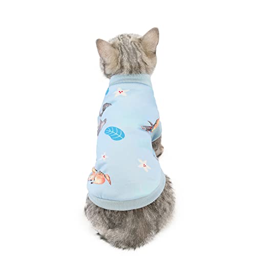 Cat Puppy Winter Warmer Mantel Katzenkleidung Herbst und Winter Milchseidenpullover Haustier Blaue Katze Kätzchen Winter warme Baumwollkleidung, 20 Katzenmilch Seidenpullover-Blauer Hirsch, Größe L von BGFA