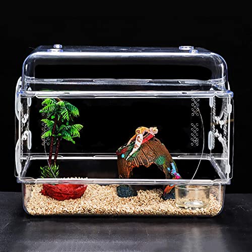 Acryl-Zuchttank für Reptilien, Insekten, Spinnen, transparente Reptilienbox, Acryl-Reptilien-Zuchttanks, Terrarium für Eidechsen, Spinnen, Schlangen, Frösche (F) von BGFYUSF