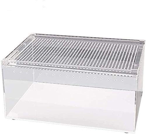Großes Terrarium für Reptilien und Amphibien, Reptilienbox, Aufzucht von Eidechsen, Schildkröten, Schlangen, Käfig, Lebensraum, Tank, Transportbox, Zoohandlungsbox, Dekoration, Zuchtbox (20 x 15 x 10 Großes Terrarium für Reptilien und Amphibien, Reptilienbox, Aufzucht von Eidechsen, Schildkröten, Schlangen, Käfig, Lebensraum, Tank, Transportbox, Zoohandlungsbox, Dekoration, Zuchtbox (20 x 15 x 10 von BGFYUSF