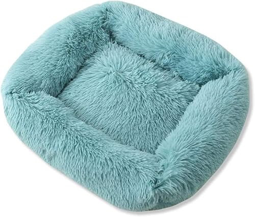 Bett L-Größe, Plüsch-Betten für Katzen, Hunde, superweich, warm, Schlafmatten für Hunde und Katzen, 1 Stück, Morandi-Blau Bett L-Größe, Plüsch-Betten für Katzen, Hunde, superweich, warm, Schlafmatten für Hunde und Katzen, 1 Stück, Morandi-Blau von BHFDUBUAAAXXXXUF