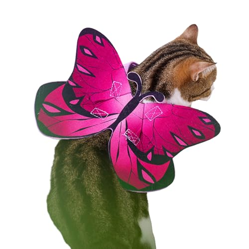 BHFYOB Buntes Cosplay-Kostüm für Katzen und Hunde, schön, weich, bequem, Kostüm-Zubehör von BHFYOB