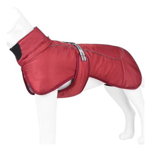 BHFYOB Haustier-Winter-Overall für Hunde, 2 Beine, Welpen, winddicht, mit Leinenhaken, warmer Mantel, dickes Futter, kleine Hunde BHFYOB Haustier-Winter-Overall für Hunde, 2 Beine, Welpen, winddicht, mit Leinenhaken, warmer Mantel, dickes Futter, kleine Hunde von BHFYOB