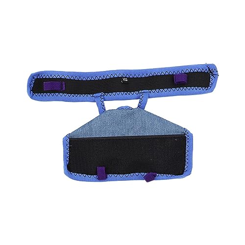 BHFYOB Hundehose, atmungsaktiv, Damen-Sanitärhöschen, Shorts, wiederverwendbar, für Hunde, Periodenhose, Inkontinenz, waschbar BHFYOB Hundehose, atmungsaktiv, Damen-Sanitärhöschen, Shorts, wiederverwendbar, für Hunde, Periodenhose, Inkontinenz, waschbar von BHFYOB