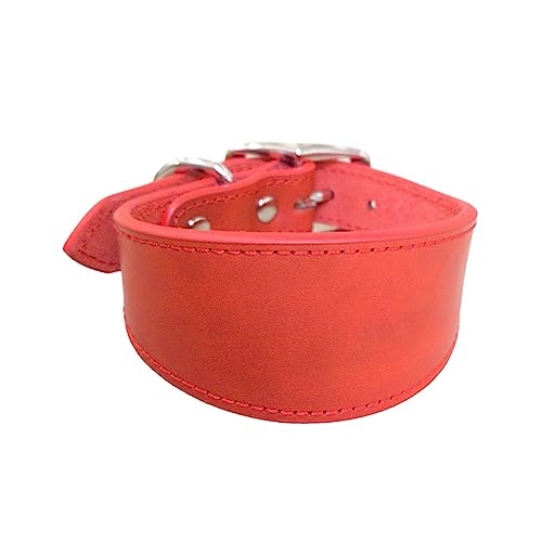 BHFYOB Leathers Hundehalsband, weich gepolstert, für Whippets, Salukis, Windhunde, verstellbares Halsband für große Rassen BHFYOB Leathers Hundehalsband, weich gepolstert, für Whippets, Salukis, Windhunde, verstellbares Halsband für große Rassen von BHFYOB