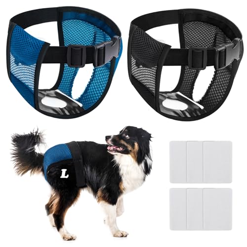 BHHTBB Läufigkeitshose für Hündinnen, 2er Pack Hundewindeln für Hündinnen, Hundehöschen Läufigkeit mit 12 Hygienepads, Waschbare Schutzhose für Weibchen Hunde Läufigkeit (L) von BHHTBB