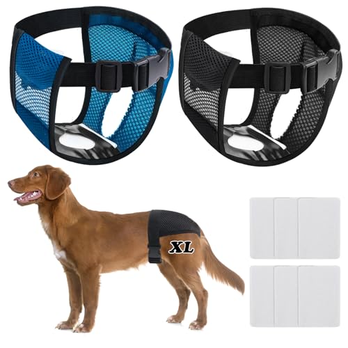 BHHTBB Läufigkeitshose für Hündinnen, 2er Pack Hundewindeln für Hündinnen, Hundehöschen Läufigkeit mit 12 Hygienepads, Waschbare Schutzhose für Weibchen Hunde Läufigkeit (XL) von BHHTBB