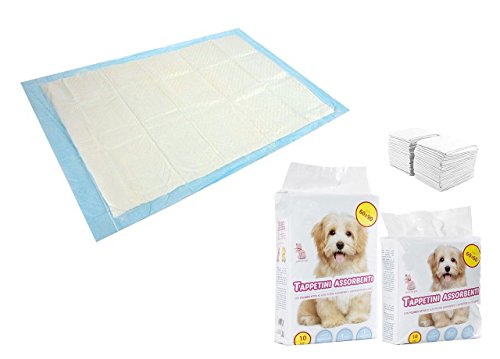 BIANCHERIAWEB Absorbierender Teppich für Haustiere, 60 x 60 cm, 10 Packungen von BIANCHERIAWEB