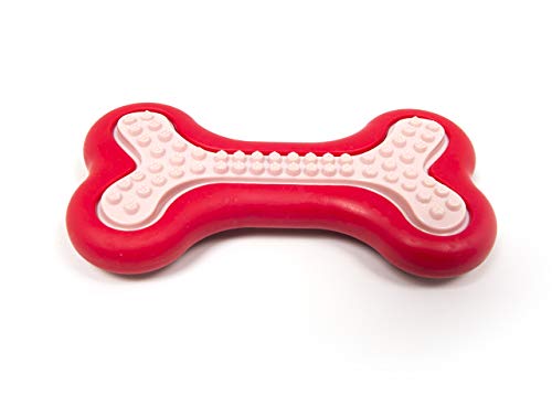 BIANCHERIAWEB Robustes Haustierspielzeug für Haustiere mit Soundeffekten Modell Roter Knochen von BIANCHERIAWEB
