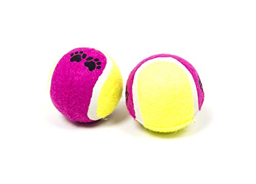 BIANCHERIAWEB Set mit 2 Tennisbällen für Haustiere, interaktives Spielzeug von BIANCHERIAWEB