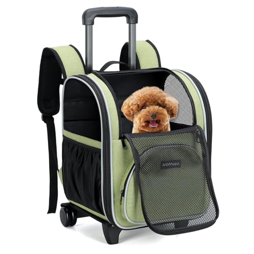 BIERPOER Katzenrucksack mit Rollen, Hunderucksack mit Rollen Groß Hunderucksack mit Rädern für Transportbox Hund und Katze bis 6kg, Hellgrün von BIERPOER