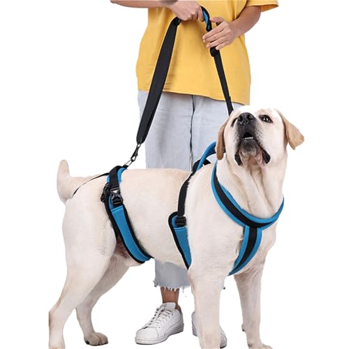 BIGNADO Hunde-Hebegeschirr, Ganzkörperunterstützung, verstellbar, atmungsaktiv, Netzriemen, Hundeunterstützung, Schlinge mit Griff und Schulter für alte, behinderte, Gelenkverletzungen, Arthritis, von BIGNADO