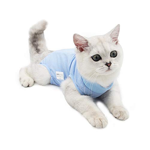 BIGNADO Katzen-Erholungsanzug, atmungsaktive E-Halsband Alternative für Katzen nach Operationen, Bauchwunden oder Hautkrankheiten, nach Operationen, Anti-Lecken von BIGNADO