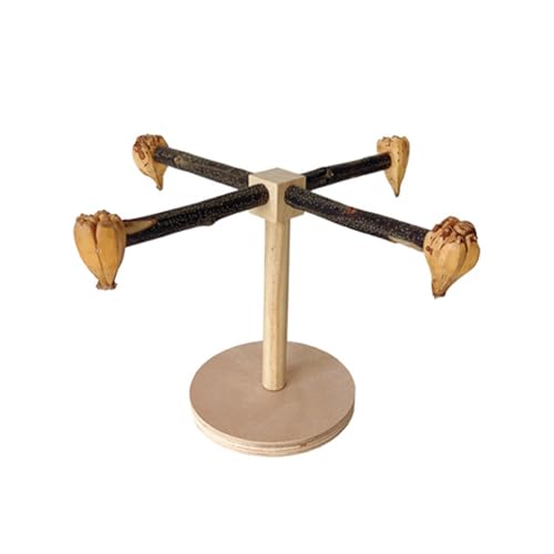 Multifunktionaler Papageienständer Schleifen Kratzspielzeug für Conure Spielzeug Hängematten Stehspielzeug für Papagei Multifunktionaler Papageienständer Schleifen Kratzspielzeug für Conure Spielzeug Hängematten Stehspielzeug für Papagei von BINGGA