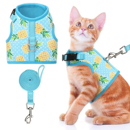 Bingpet Katzengeschirr mit Leine, Netzgewebe, verstellbares Geschirr für Kätzchen, Welpen, Ananas von BINGPET