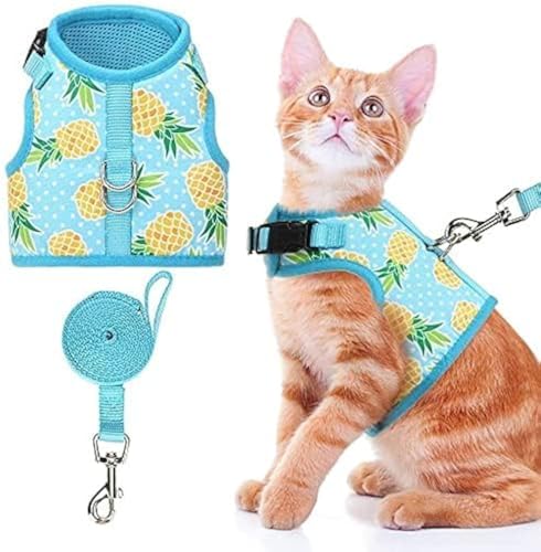 BINGPET Katzengeschirr – mit Leine im Lieferumfang enthalten – Mesh-Geschirr für Katzen und Hunde, verstellbares Geschirr für Kätzchen, Welpen, Geschirr verstellbar BINGPET Katzengeschirr – mit Leine im Lieferumfang enthalten – Mesh-Geschirr für Katzen und Hunde, verstellbares Geschirr für Kätzchen, Welpen, Geschirr verstellbar von BINGPET