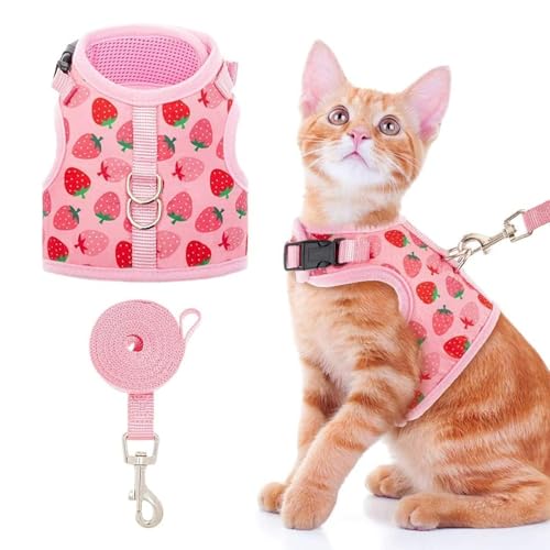 BINPET Katzengeschirr mit Leine, Verstellbar & Ausbruchsicher, Atmungsaktiv, Streifen Design, Katzen Geschirr für sicheren Halt & Komfort, Ideal für Spaziergänge und Kontrolle BINPET Katzengeschirr mit Leine, Verstellbar & Ausbruchsicher, Atmungsaktiv, Streifen Design, Katzen Geschirr für sicheren Halt & Komfort, Ideal für Spaziergänge und Kontrolle von BINGPET