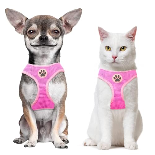 bingpet weichem Mesh-Hundegeschirr Pet Walking Weste Puppy Gepolsterte Geschirre Verstellbare, XS, Rose bingpet weichem Mesh-Hundegeschirr Pet Walking Weste Puppy Gepolsterte Geschirre Verstellbare, XS, Rose von BINGPET