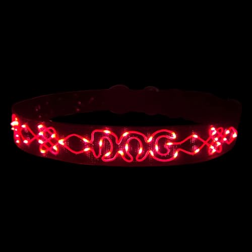 LED Halsband für Hunde mit Buchstabenstickerei – Leuchtendes Haustierhalsband 55cm von BININBOX