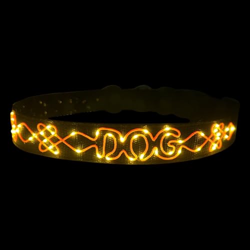 LED Halsband für Hunde mit Buchstabenstickerei – Leuchtendes Haustierhalsband 68cm von BININBOX