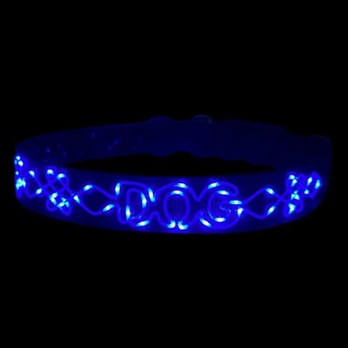 LED Halsband für Hunde mit Buchstabenstickerei – Leuchtendes Haustierhalsband 68cm von BININBOX