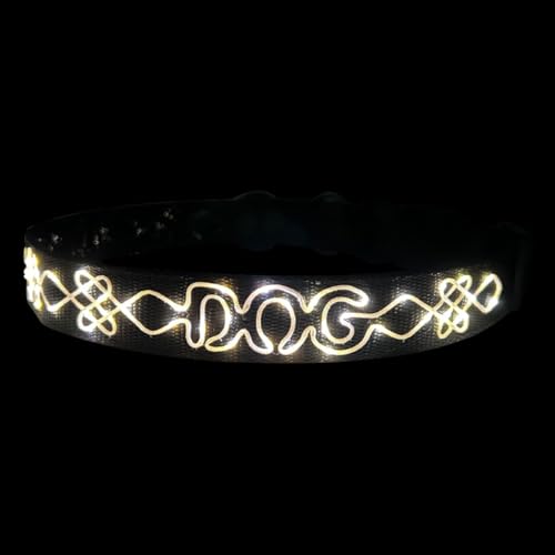 LED Halsband für Hunde mit Buchstabenstickerei – Leuchtendes Haustierhalsband 68cm von BININBOX