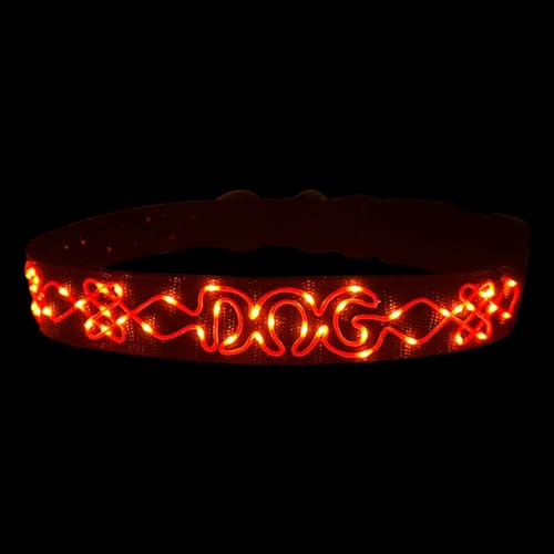 LED Halsband für Hunde mit Buchstabenstickerei – Leuchtendes Haustierhalsband 68cm von BININBOX