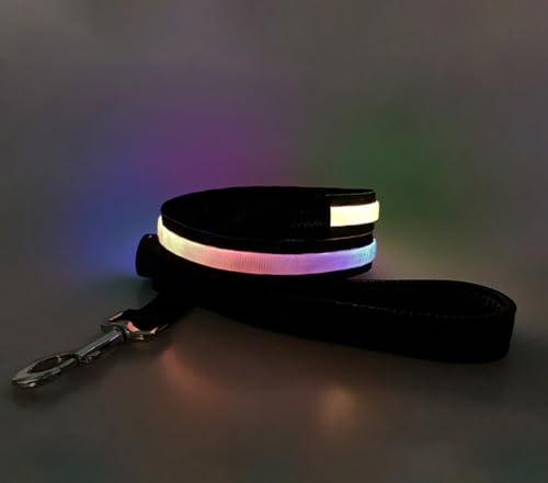 LED Hundeleine USB Aufladbar 1.2m Sicherheits Leuchtende Hundeleine mit Licht für Nächtliche Spaziergänge (Farbenfroh) von BININBOX