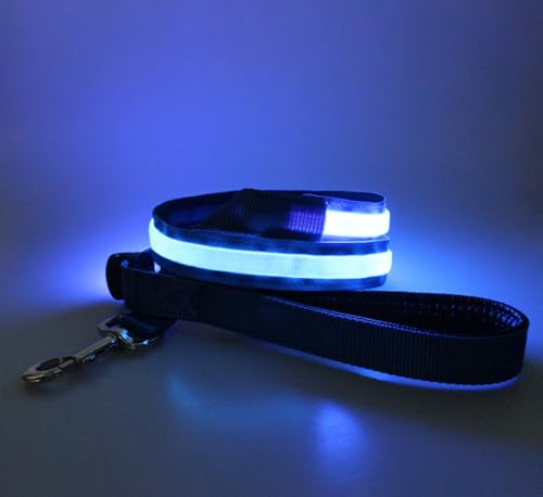 LED Hundeleine USB Aufladbar 1.2m Sicherheits Leuchtende Hundeleine mit Licht für Nächtliche Spaziergänge (blau) von BININBOX