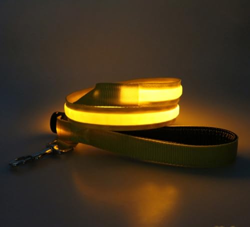 LED Hundeleine USB Aufladbar 1.2m Sicherheits Leuchtende Hundeleine mit Licht für Nächtliche Spaziergänge (gelb) von BININBOX