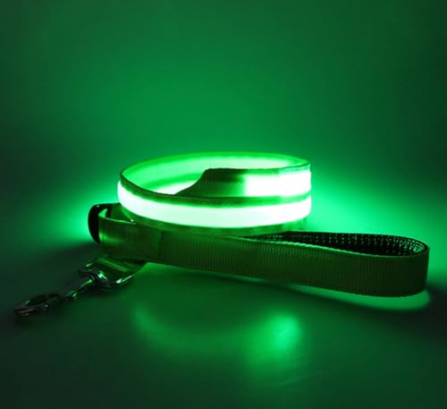 LED Hundeleine USB Aufladbar 1.2m Sicherheits Leuchtende Hundeleine mit Licht für Nächtliche Spaziergänge (grün) von BININBOX