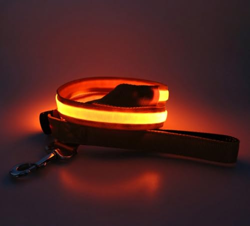 LED Hundeleine USB Aufladbar 1.2m Sicherheits Leuchtende Hundeleine mit Licht für Nächtliche Spaziergänge (orange) von BININBOX