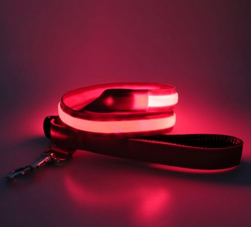 LED Hundeleine USB Aufladbar 1.2m Sicherheits Leuchtende Hundeleine mit Licht für Nächtliche Spaziergänge (pink) von BININBOX